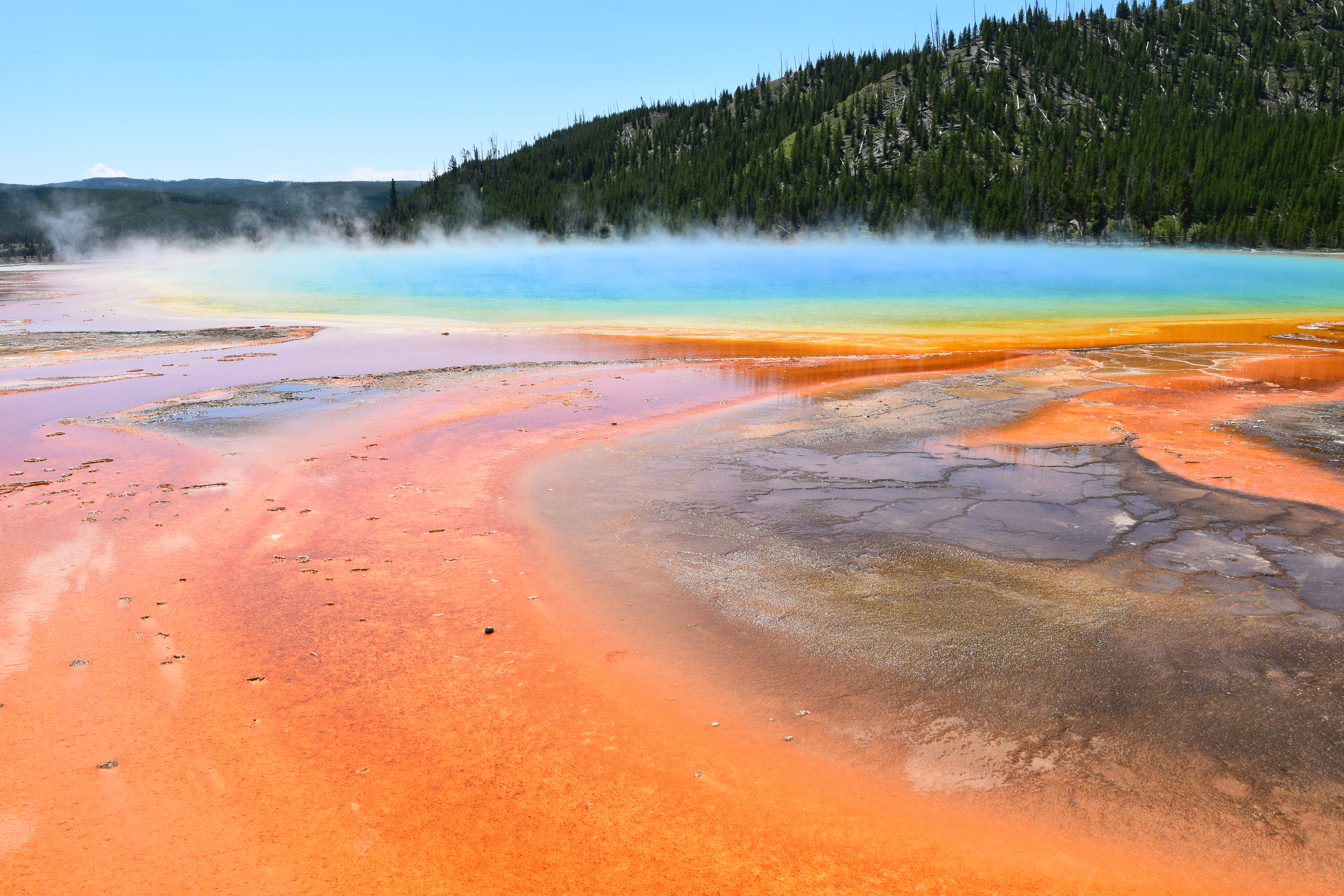 yellowstone, midway geyser basin