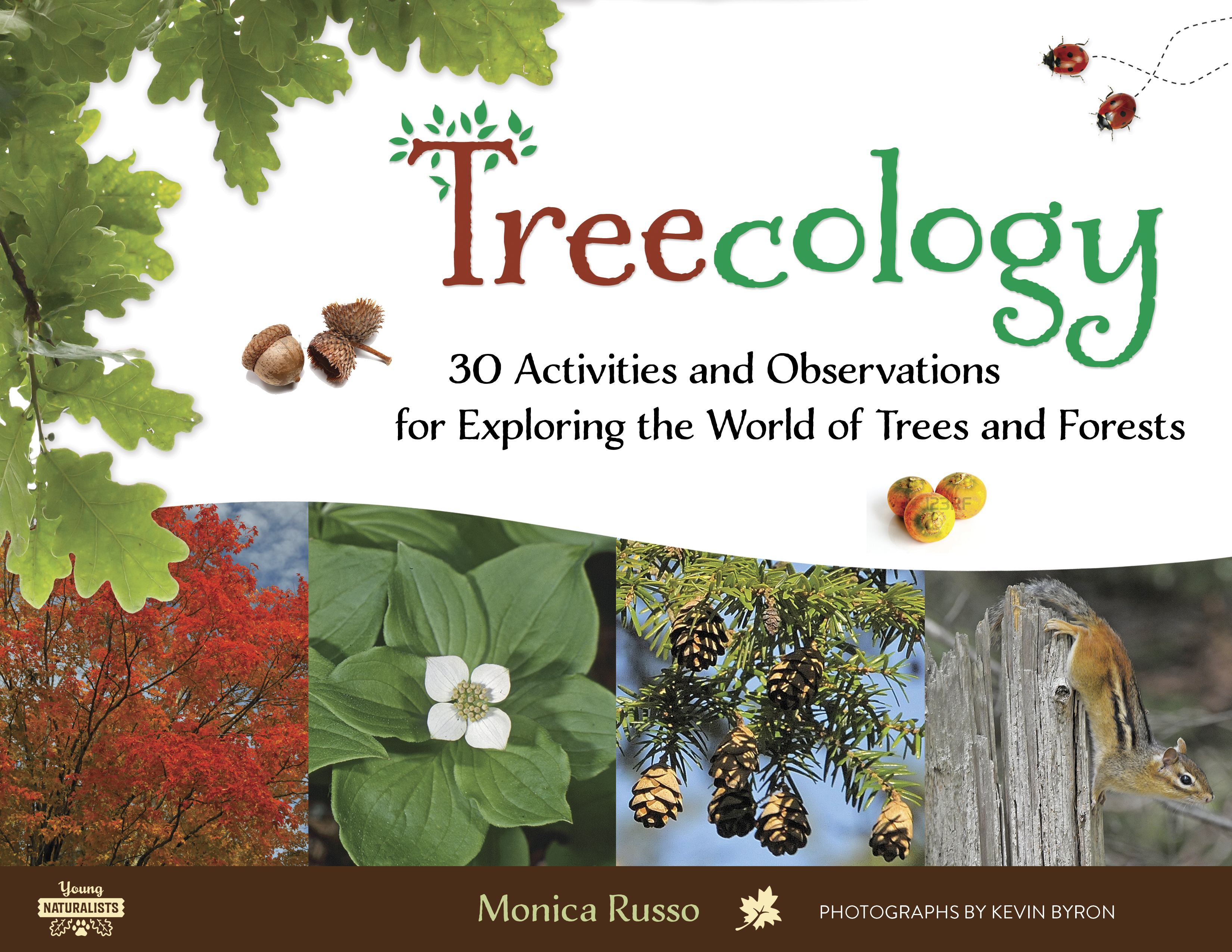 Book Review: Treecology by Monica Russo