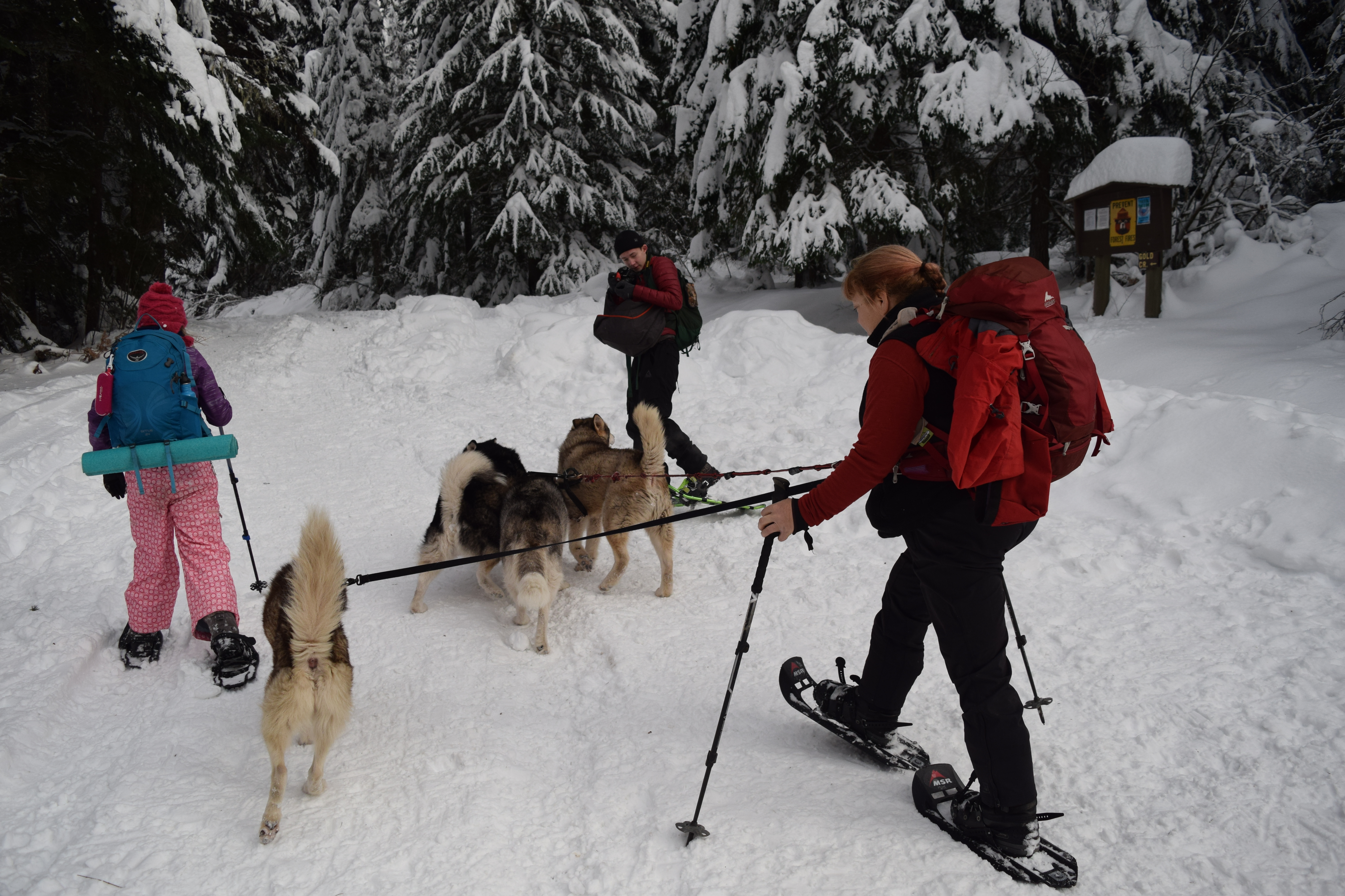 gold creek snowshoe, kids in nature, winter hiking, snoqualmie pass