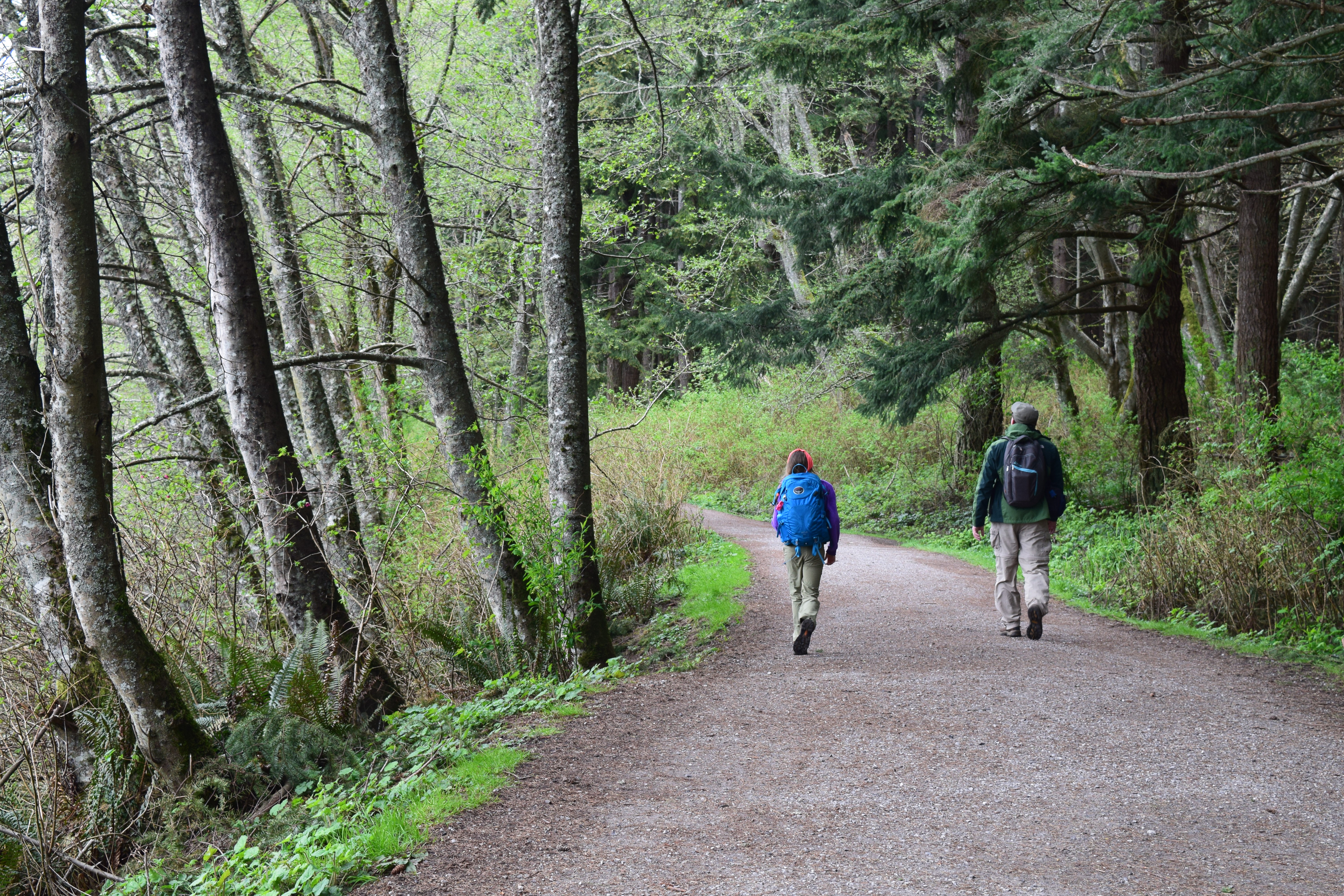 Becoming a Hiking Family – 6 tips to get you on your way
