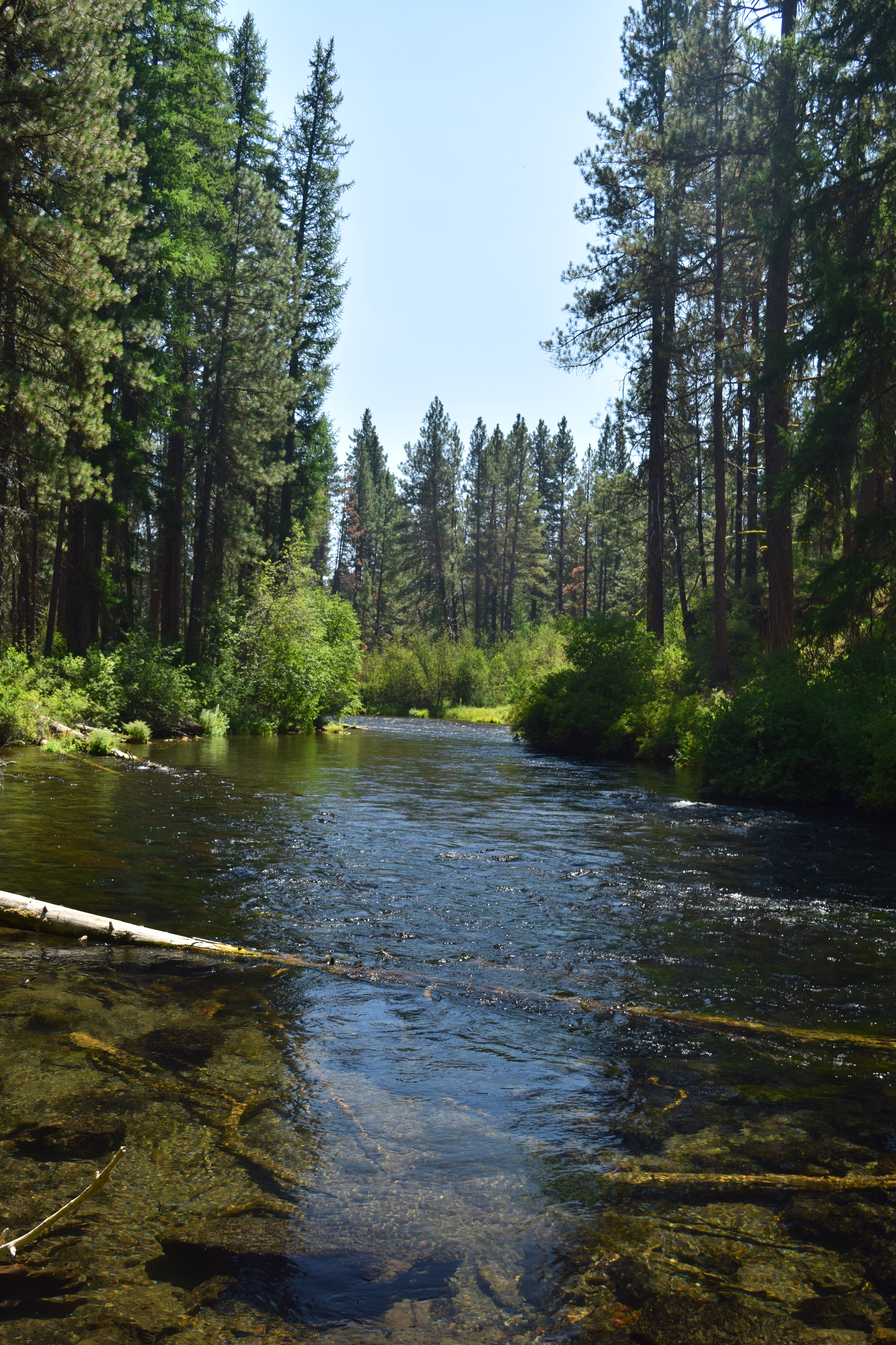 camping, eclipse 2017, central oregon, camp sherman, camping with kids