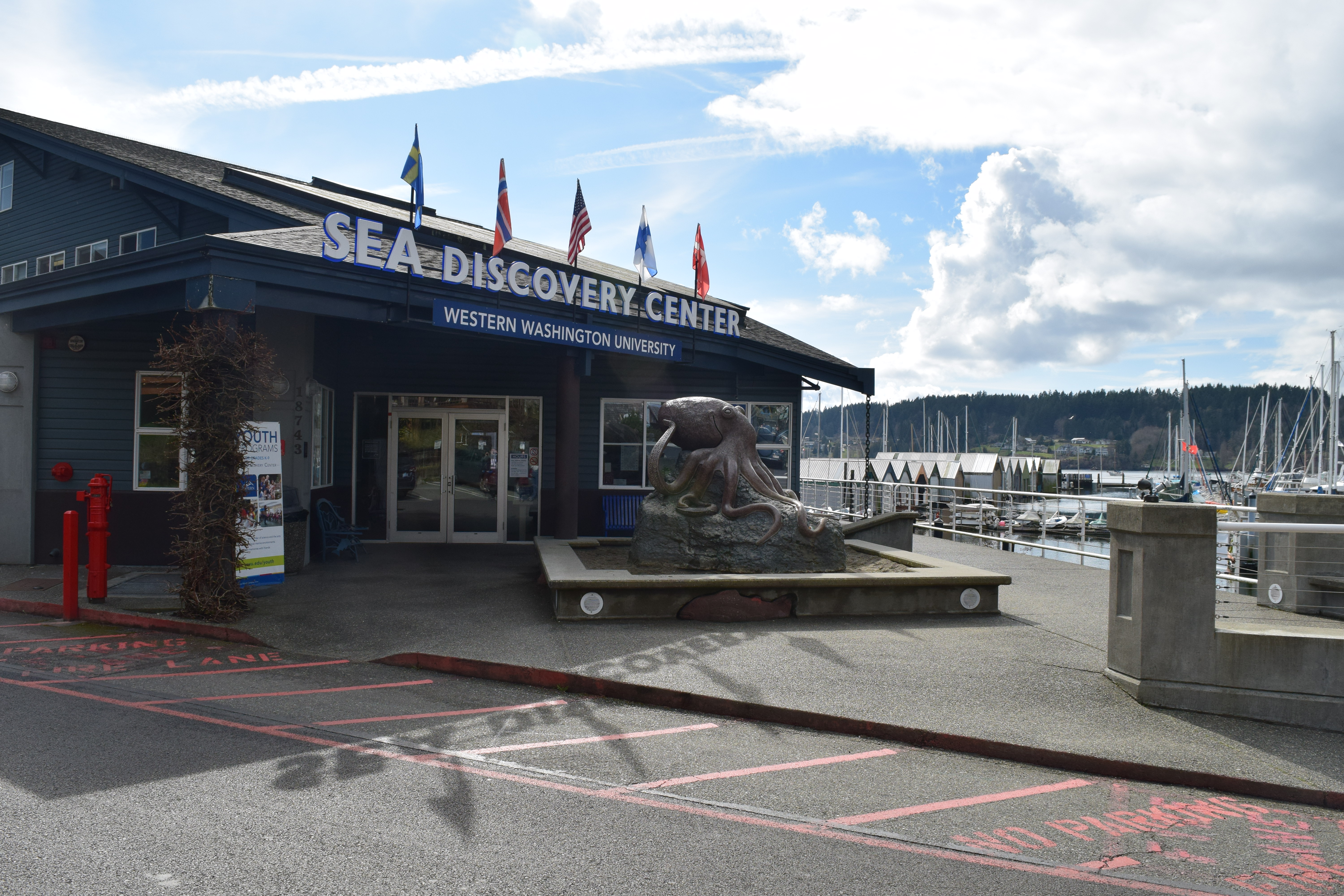 aquarium, Poulsbo, marine life, kitsap peninsula, activities for children, free activities