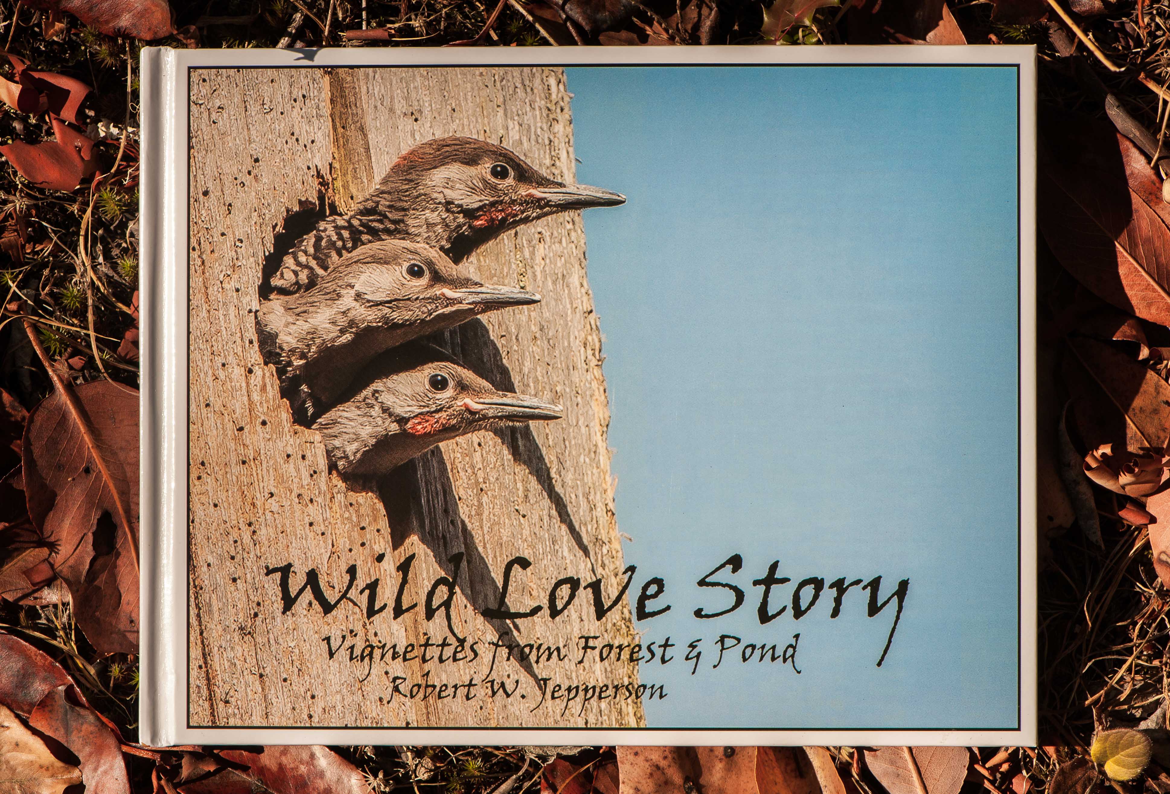 Book Review: Wild Love Story: Vignettes From Forest and Pond by Bob Jepperson